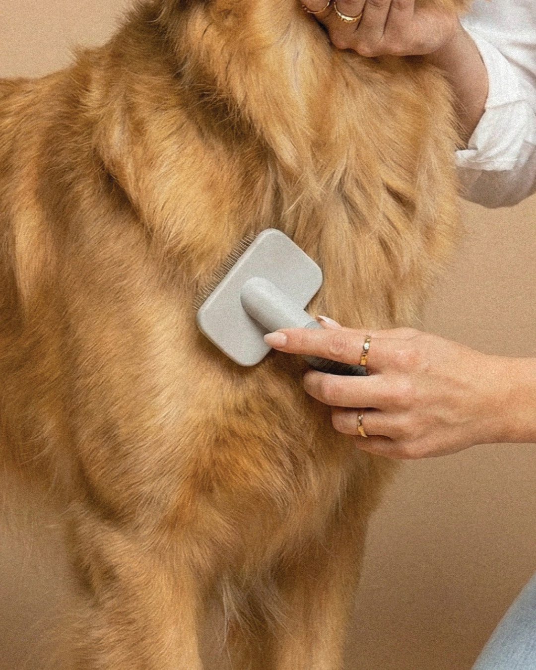 Skin & Coat Spray