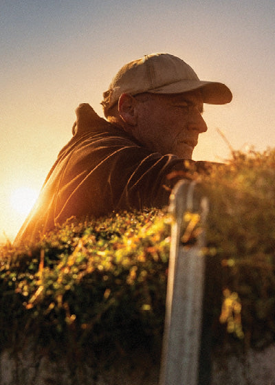 Person wearing a cap and jacket standing in a field with a sunset in the background